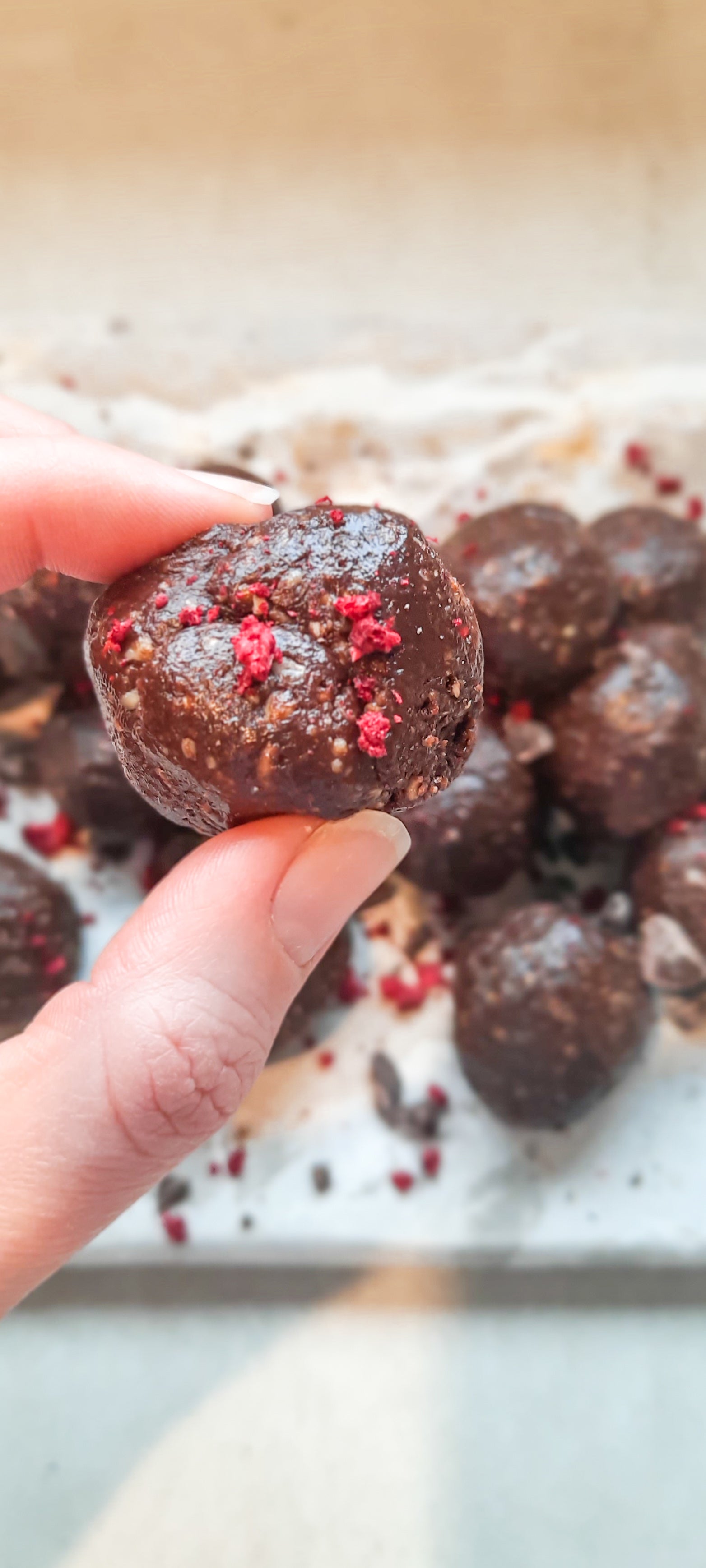 Fudgey Chocolate & Raspberry Fudge Bites